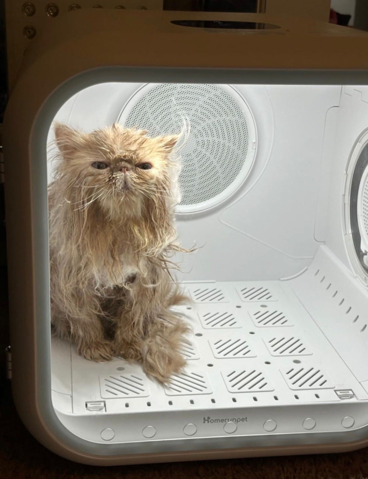 Drive Cube® DOGMA — La cabina inteligente más deseada de 2026.