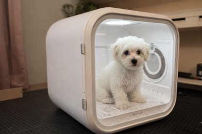 Drive Cube® DOGMA — La cabina inteligente más deseada de 2026.