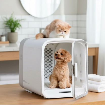 Drive Cube® DOGMA — La cabina inteligente más deseada de 2026.