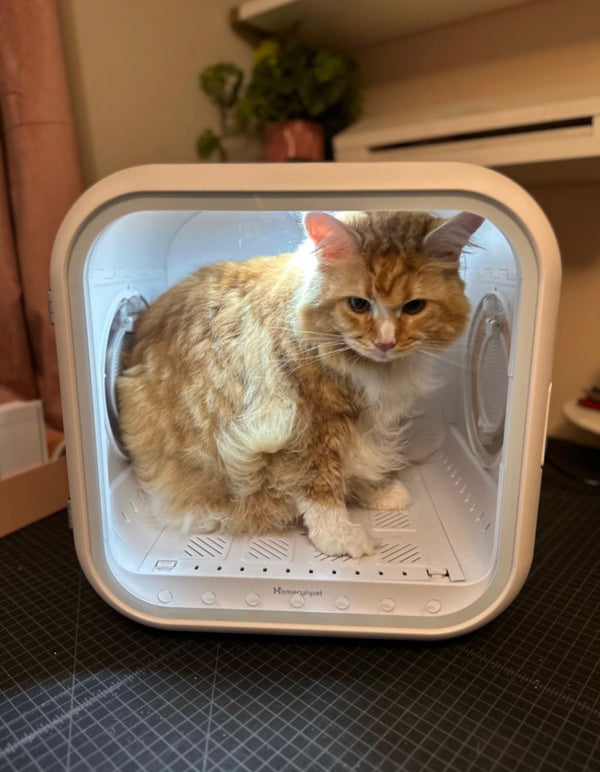 Rosa García – Querétaro