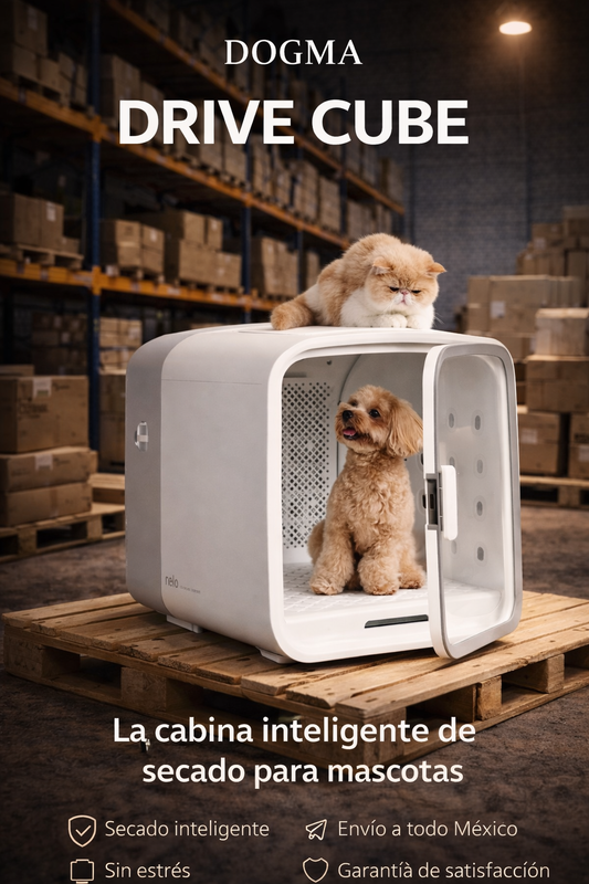 Drive Cube® DOGMA — La cabina inteligente más deseada de 2026.