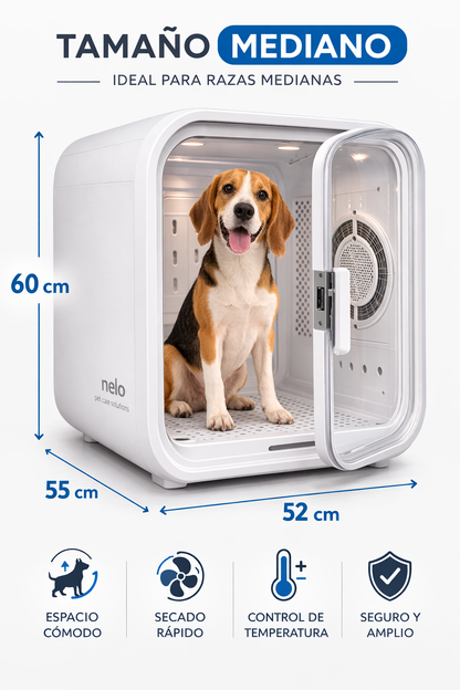 Drive Cube® DOGMA — La cabina inteligente más deseada de 2026.