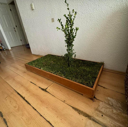 PetGarden® DOGMA — El jardín perfecto para sus necesidades.