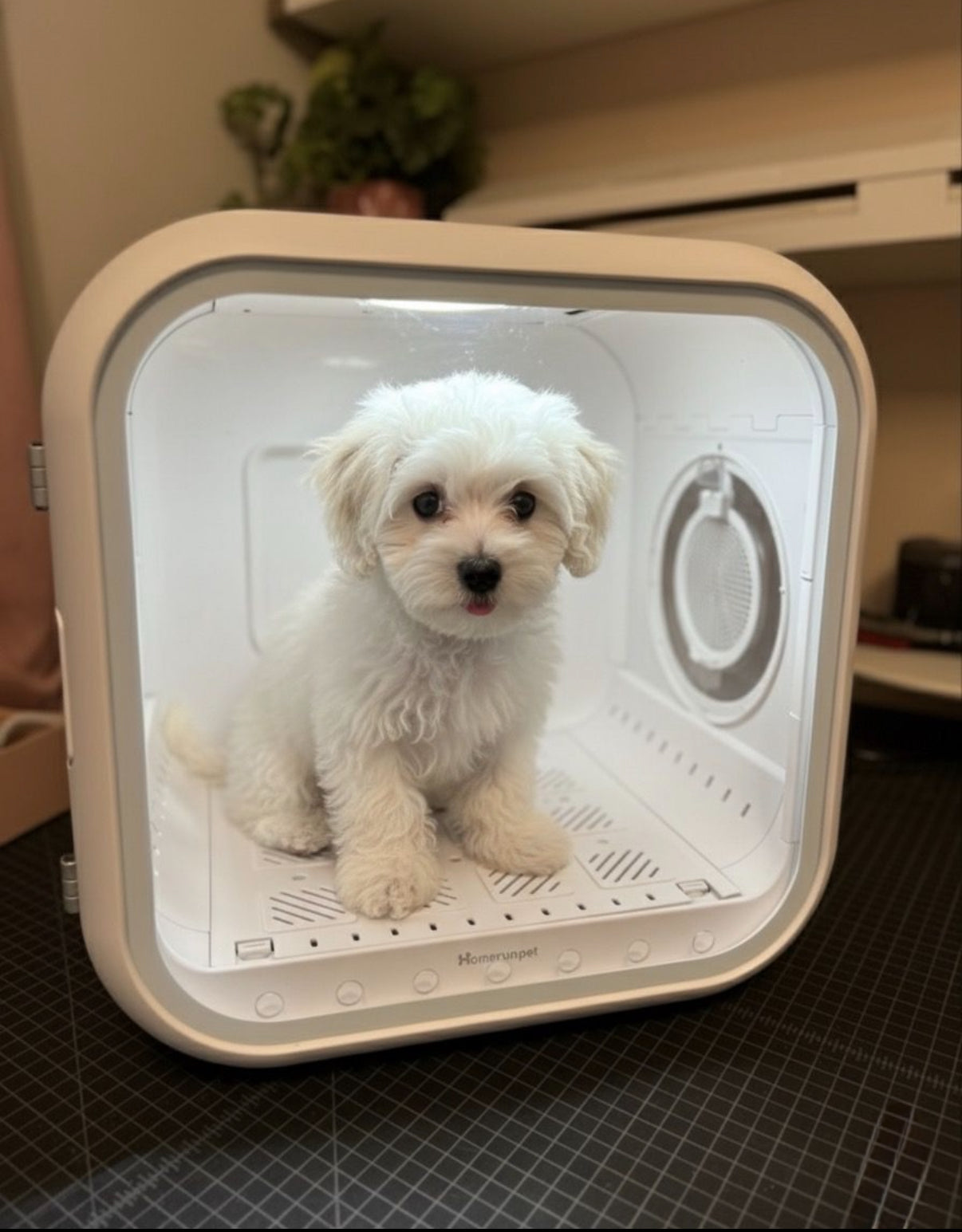 Drive Cube® DOGMA — La cabina inteligente más deseada de 2026.