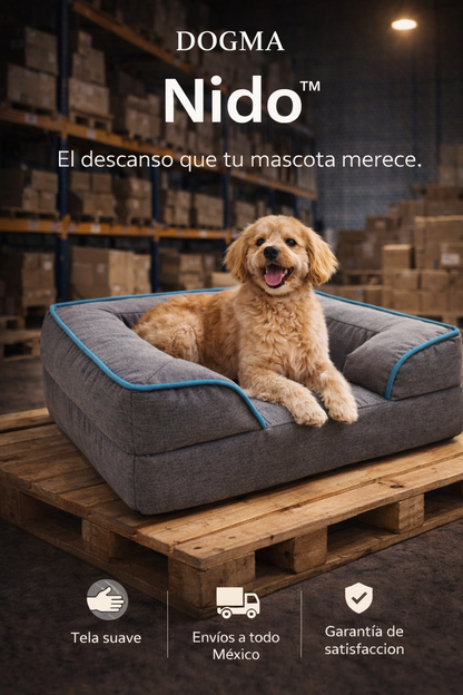 Nido® DOGMA — El descanso favorito de miles de mascotas.