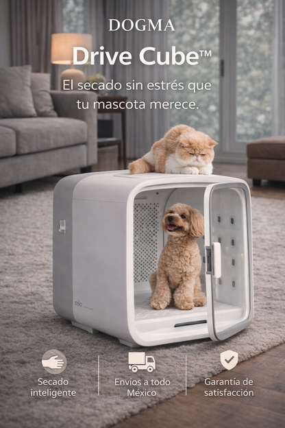 Drive Cube® DOGMA — La cabina inteligente más deseada de 2026.